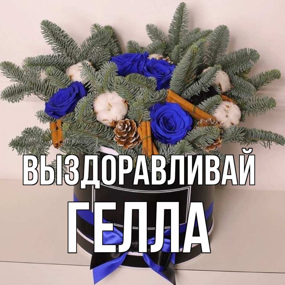 Открытка на каждый день с именем, Гелла Выздоравливай короче кто то загрузил эти шишки Прикольная открытка с пожеланием онлайн скачать бесплатно 