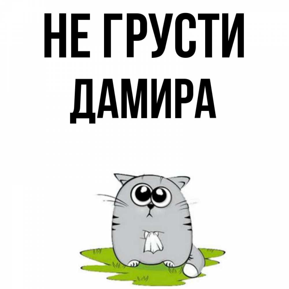 Открытка на каждый день с именем, Дамира Не грусти грустный котяра Прикольная открытка с пожеланием онлайн скачать бесплатно 