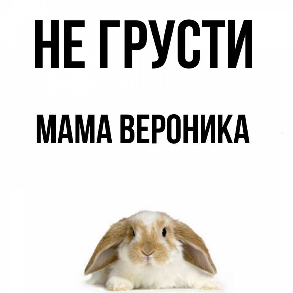 Открытка на каждый день с именем, Мама-Вероника Не грусти коричнево белый заяц с большими ушками Прикольная открытка с пожеланием онлайн скачать бесплатно 