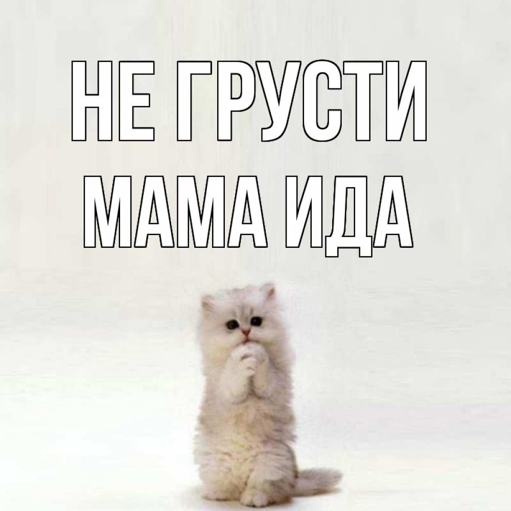Открытка на каждый день с именем, Мама-Ида Не грусти грустный кот Прикольная открытка с пожеланием онлайн скачать бесплатно 