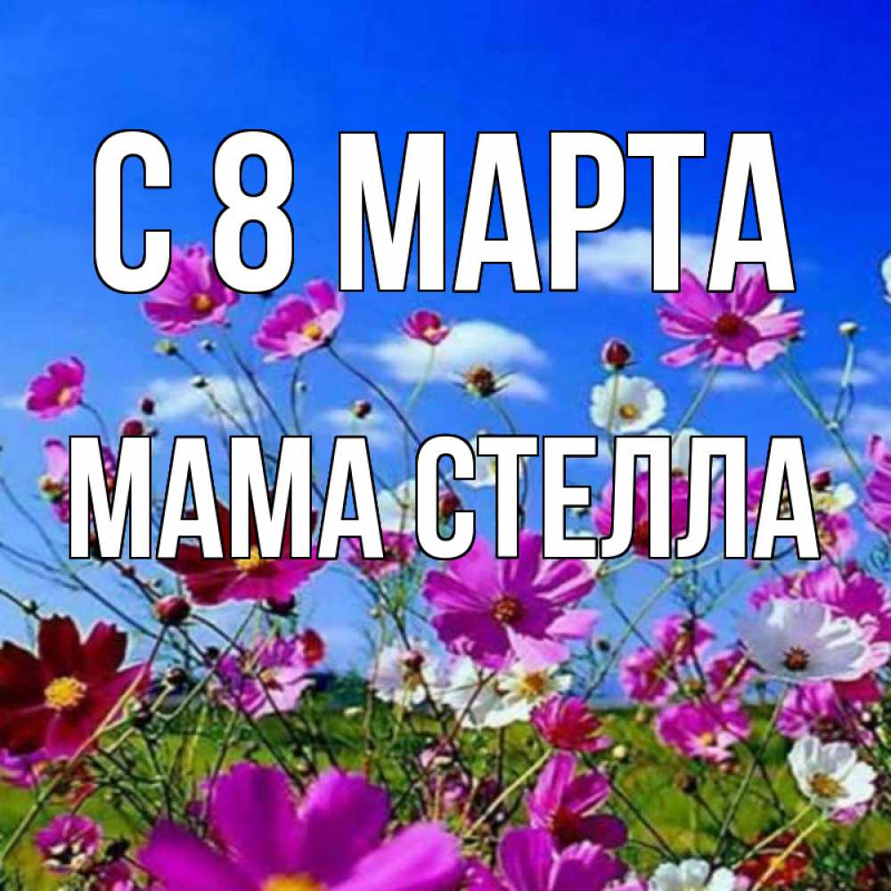 Открытка на каждый день с именем, Мама-Стелла С 8 МАРТА цветы Прикольная открытка с пожеланием онлайн скачать бесплатно 