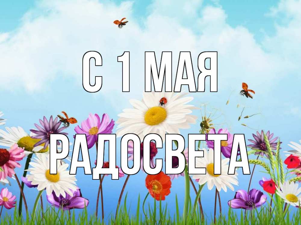 Открытка на каждый день с именем, Радосвета С 1 мая С 1 мая Прикольная открытка с пожеланием онлайн скачать бесплатно 