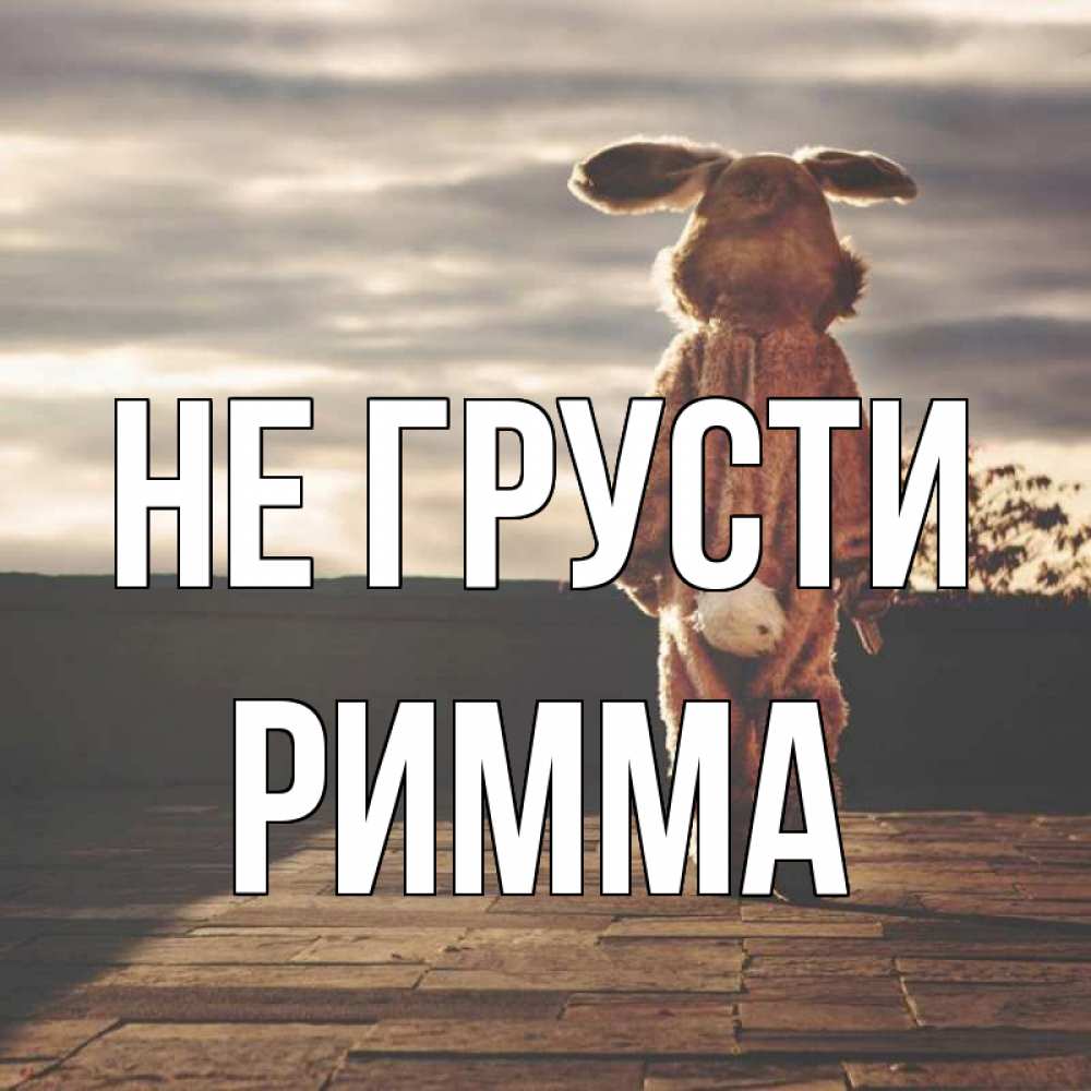Открытка на каждый день с именем, Римма Не грусти со спины Прикольная открытка с пожеланием онлайн скачать бесплатно 