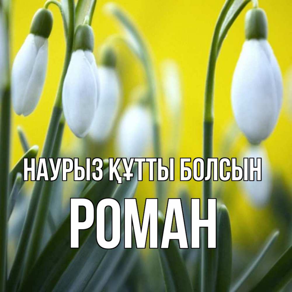 Открытка на каждый день с именем, Роман Наурыз құтты болсын весенние цветы Прикольная открытка с пожеланием онлайн скачать бесплатно 
