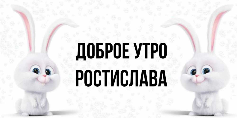Открытка на каждый день с именем, Ростислава Доброе утро кролики с длинными ушками Прикольная открытка с пожеланием онлайн скачать бесплатно 