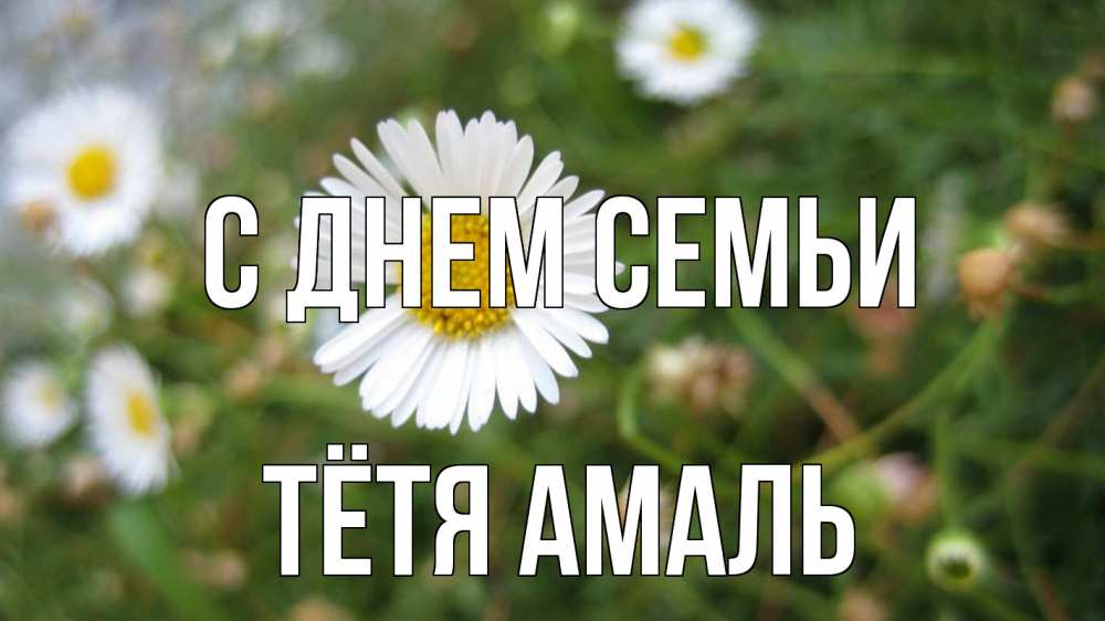 Открытка на каждый день с именем, Тётя-Амаль С днем семьи с днем семьи Прикольная открытка с пожеланием онлайн скачать бесплатно 
