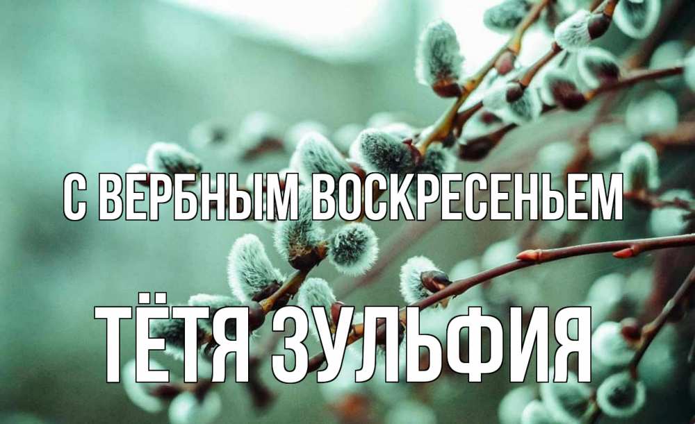 Открытка на каждый день с именем, Тётя-Зульфия С вербным воскресеньем верба Прикольная открытка с пожеланием онлайн скачать бесплатно 