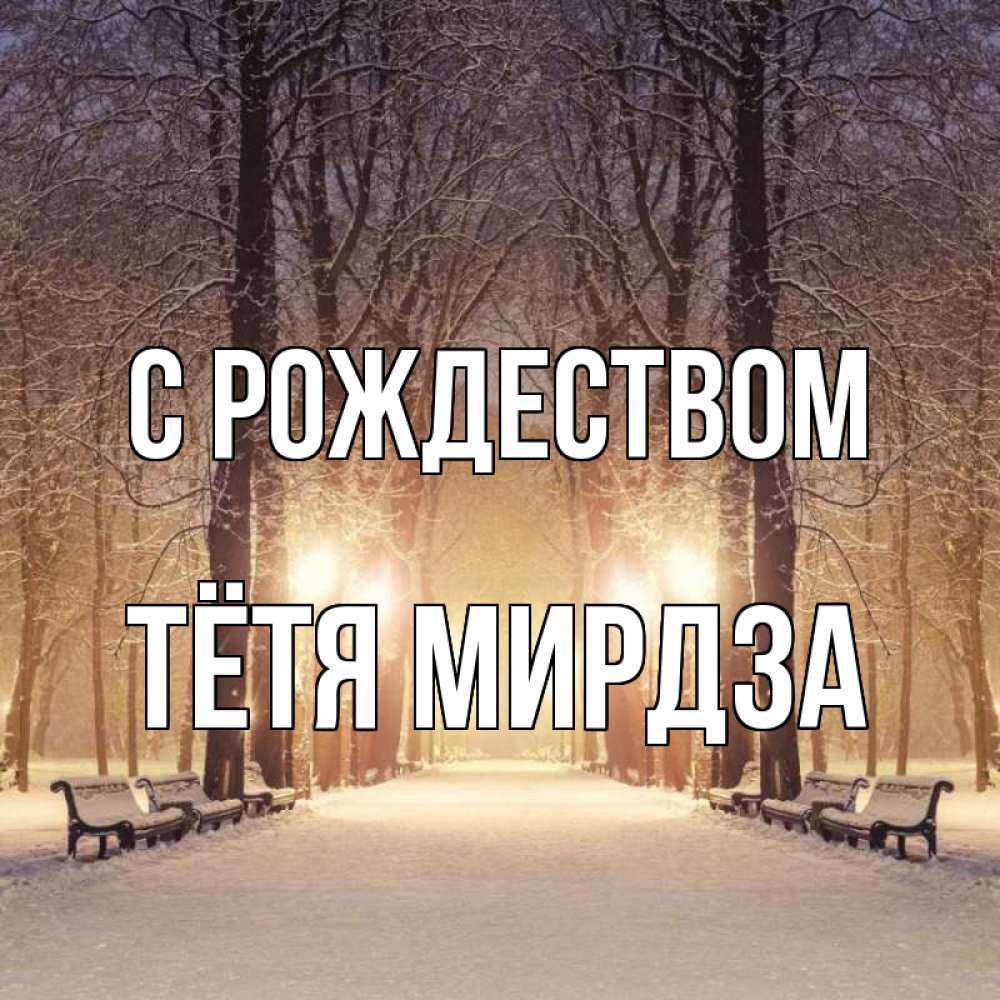 Открытка на каждый день с именем, Тётя-Мирдза С рождеством зима, парк, фонарь, лес Прикольная открытка с пожеланием онлайн скачать бесплатно 