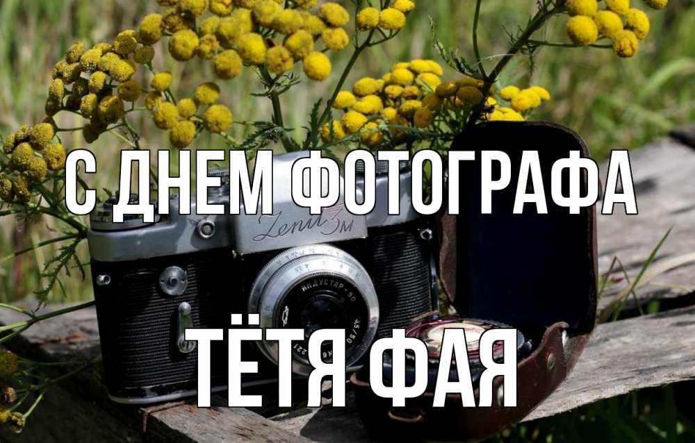 Открытка на каждый день с именем, Тётя-Фая С днем фотографа с днем фотографа Прикольная открытка с пожеланием онлайн скачать бесплатно 