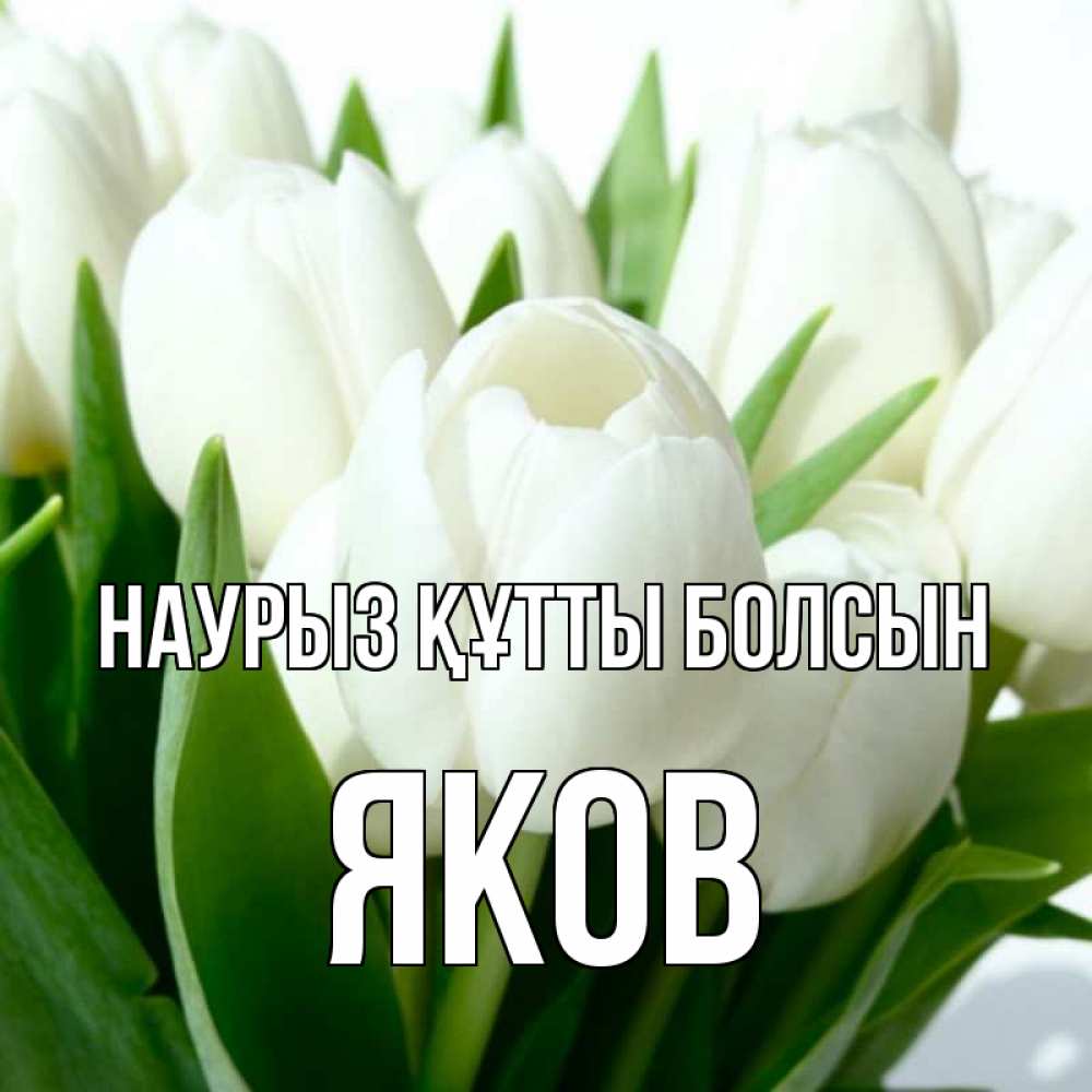Открытка на каждый день с именем, Яков Наурыз құтты болсын цветы Прикольная открытка с пожеланием онлайн скачать бесплатно 