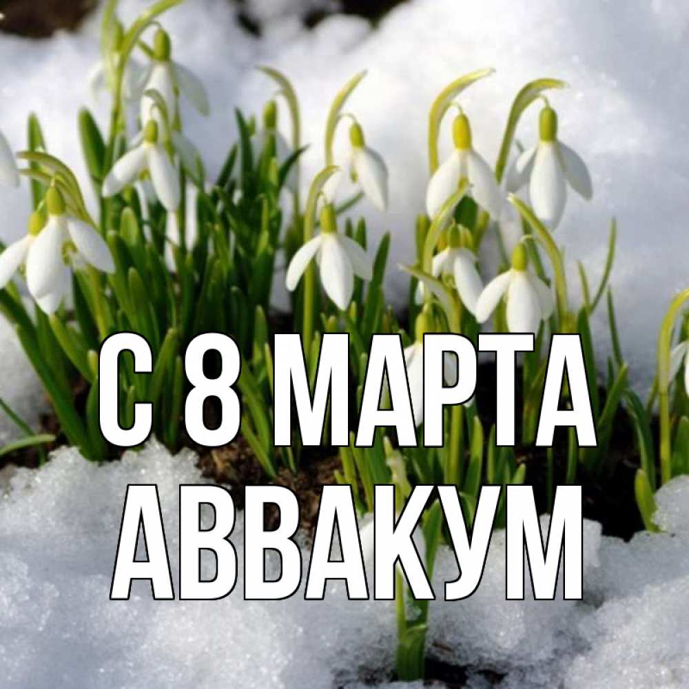 Открытка на каждый день с именем, Аввакум С 8 МАРТА цветы весенние Прикольная открытка с пожеланием онлайн скачать бесплатно 