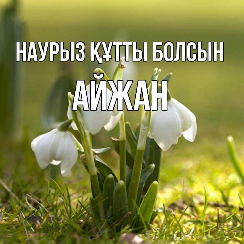 Открытка на каждый день с именем, Айжан Наурыз құтты болсын ранние цветы 2 Прикольная открытка с пожеланием онлайн скачать бесплатно 