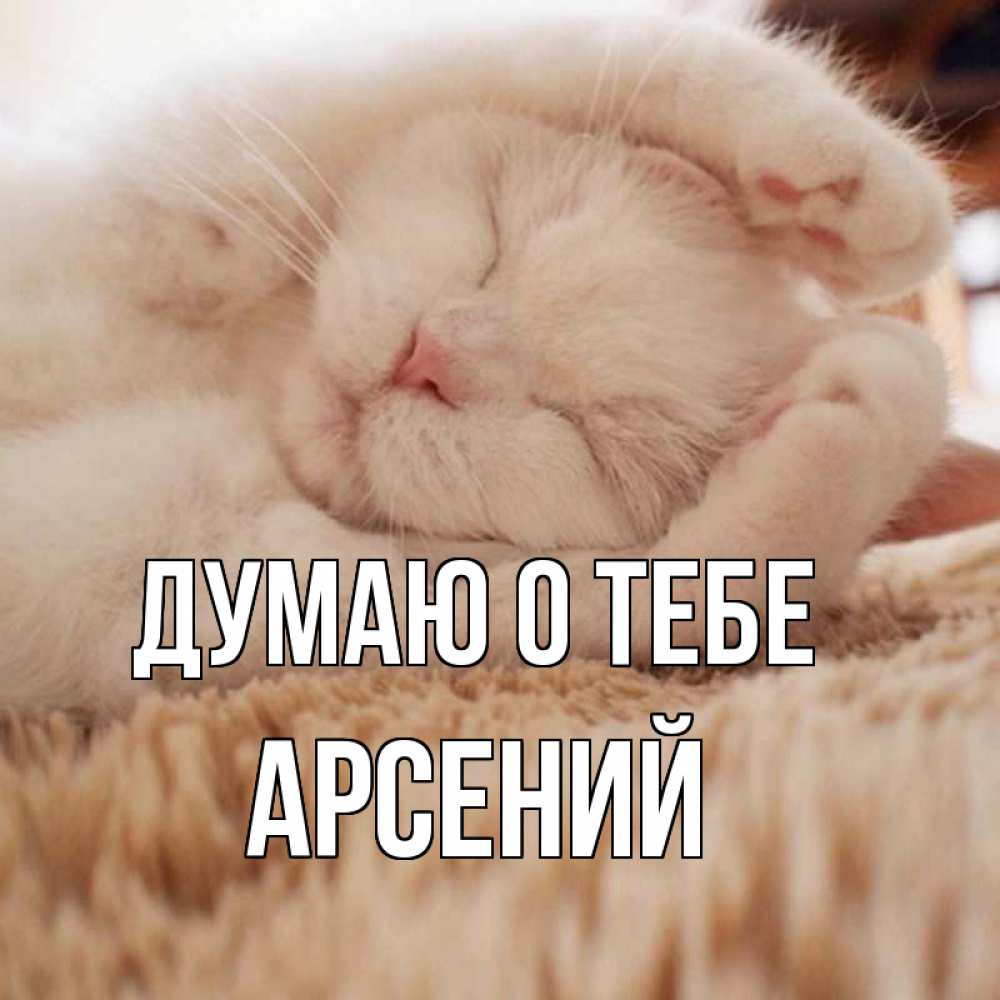Открытка на каждый день с именем, Арсений Думаю о тебе для любимой девушки милота Прикольная открытка с пожеланием онлайн скачать бесплатно 