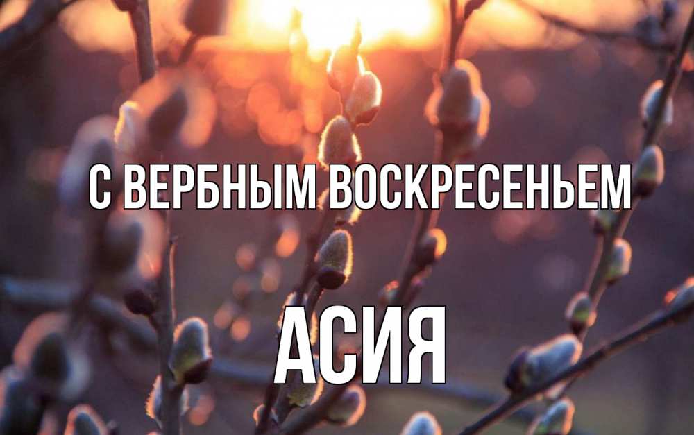Открытка на каждый день с именем, Асия С вербным воскресеньем верба Прикольная открытка с пожеланием онлайн скачать бесплатно 