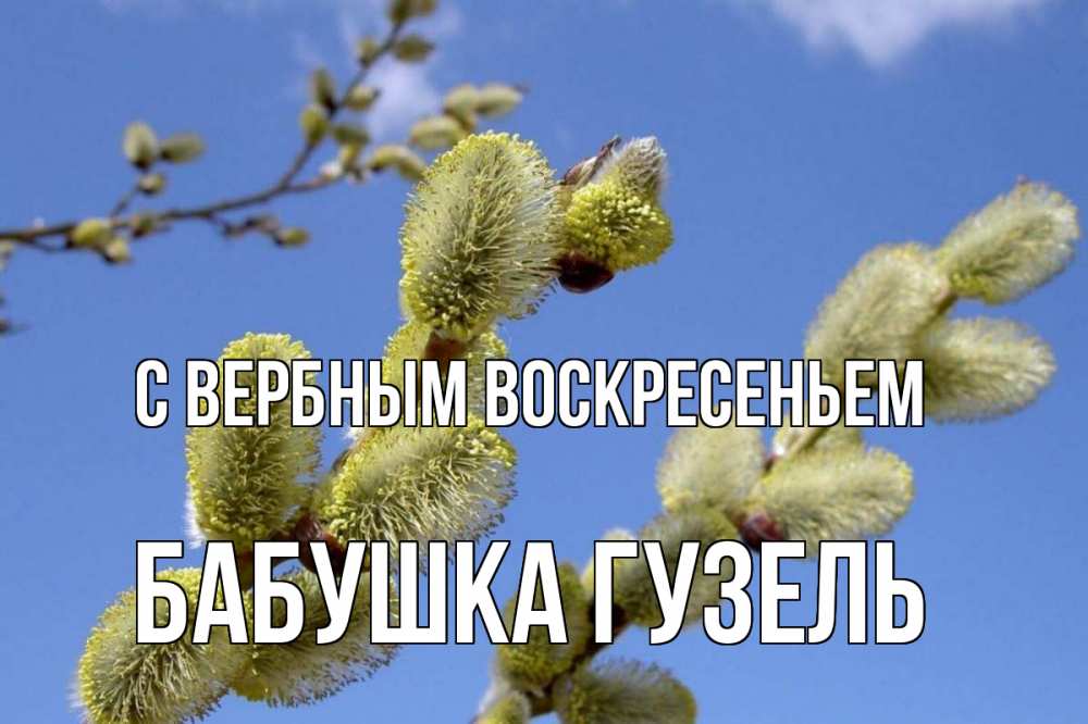 Открытка на каждый день с именем, Бабушка-Гузель С вербным воскресеньем верба Прикольная открытка с пожеланием онлайн скачать бесплатно 