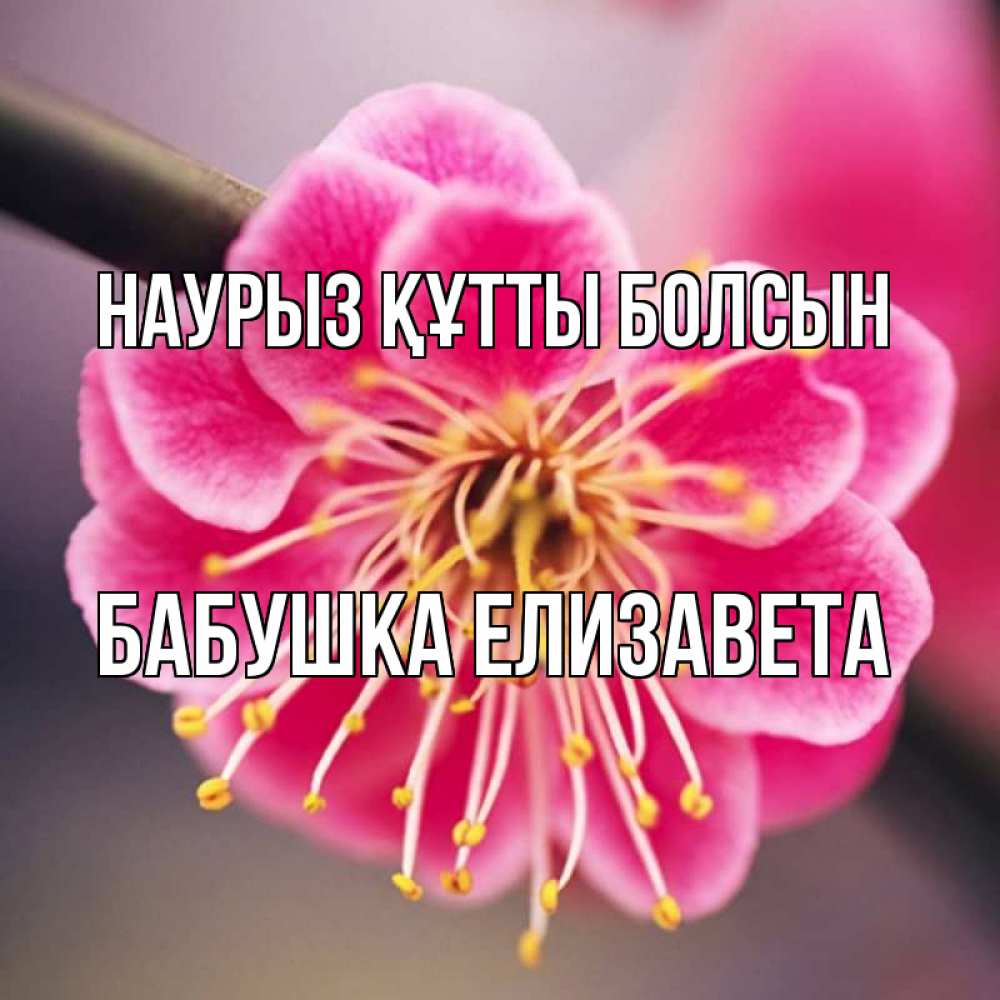 Картинка Наурыз құтты болсын, Бабушка Елизавета