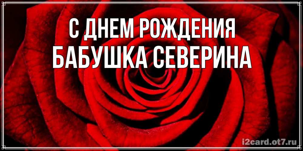 Открытка на каждый день с именем, Бабушка-Северина С днем рождения алая роза Прикольная открытка с пожеланием онлайн скачать бесплатно 