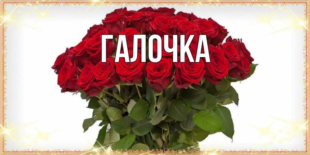 Открытка на каждый день с именем, Галочка Главная поздравляю с праздник весны наурыз Прикольная открытка с пожеланием онлайн скачать бесплатно 