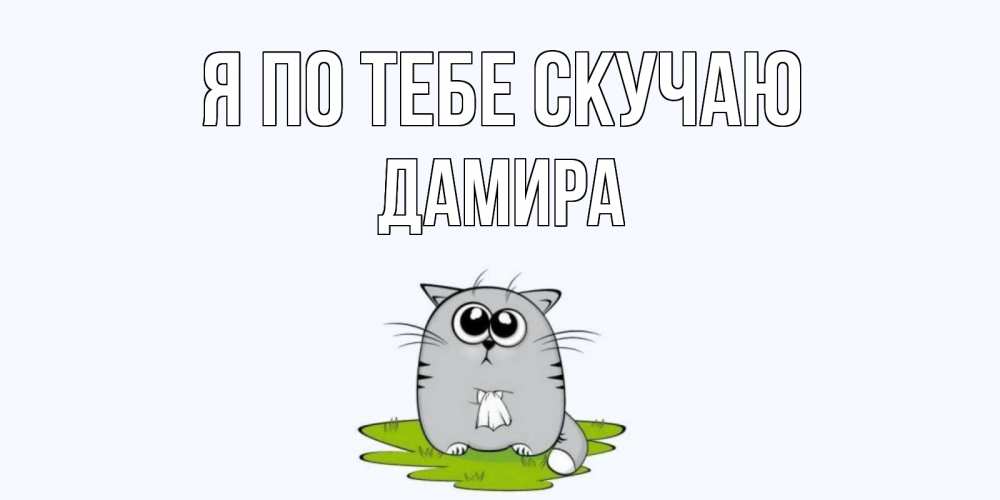 Открытка на каждый день с именем, Дамира Я по тебе скучаю открытки с котиками я по тебе скучаю с именем Прикольная открытка с пожеланием онлайн скачать бесплатно 