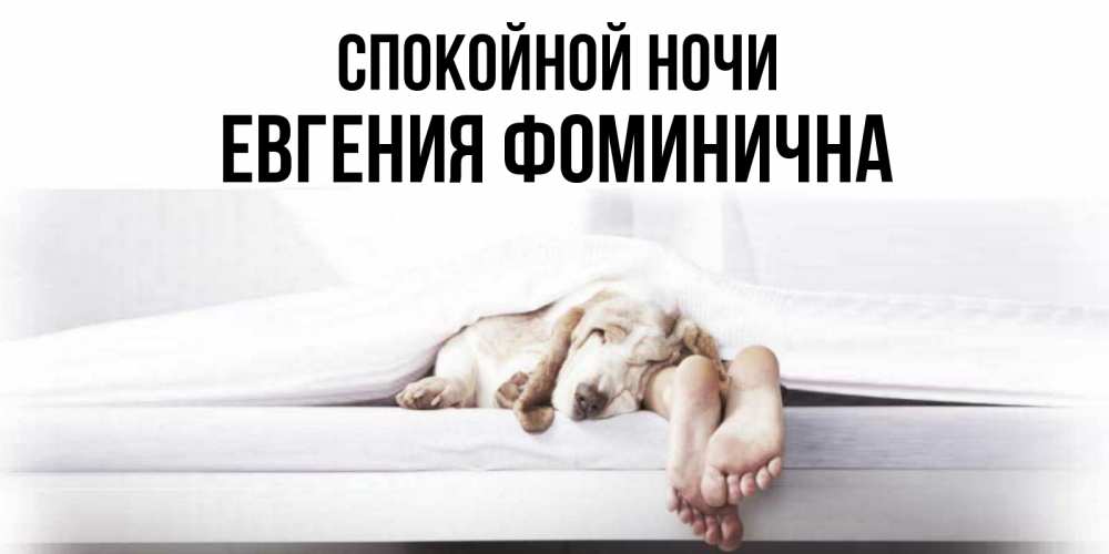 Открытка на каждый день с именем, Евгения-Фоминична Спокойной ночи кровать с собакой пожелание сладких снов и спокойной ночи Прикольная открытка с пожеланием онлайн скачать бесплатно 