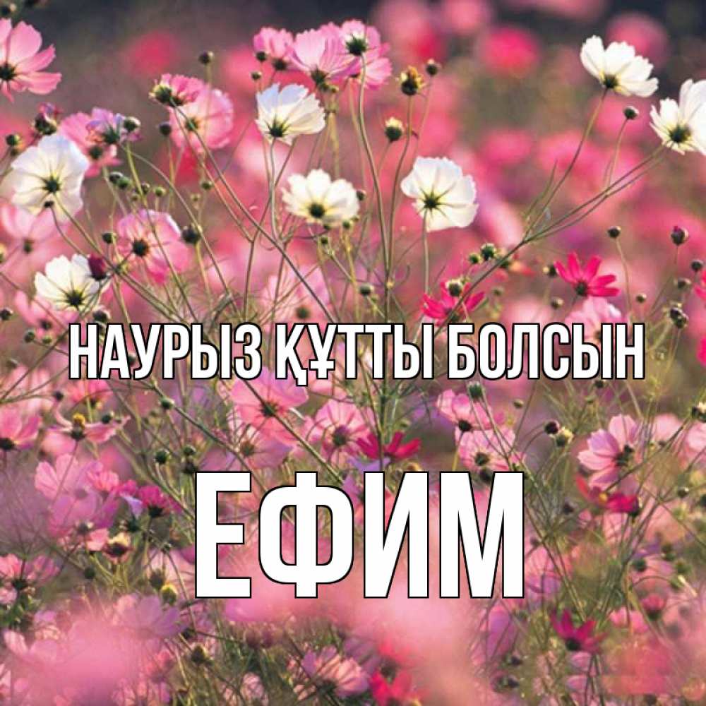 Открытка на каждый день с именем, Ефим Наурыз құтты болсын красиво 1 Прикольная открытка с пожеланием онлайн скачать бесплатно 