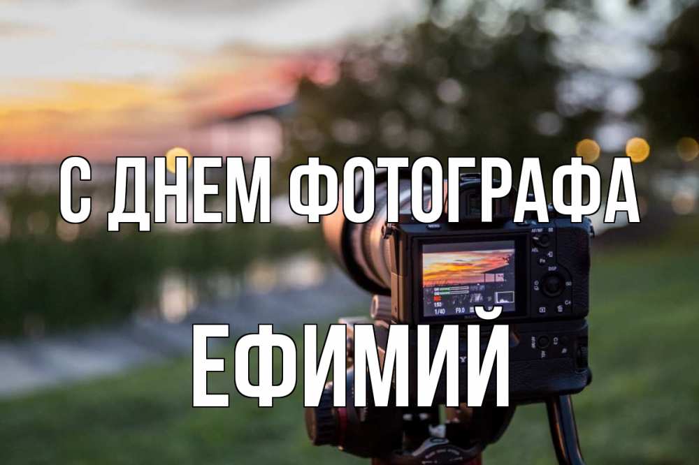 Открытка на каждый день с именем, Ефимий С днем фотографа с днем фотографа Прикольная открытка с пожеланием онлайн скачать бесплатно 