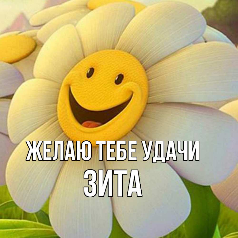 Открытка на каждый день с именем, Зита Желаю тебе удачи подписать открытку своим текстом Прикольная открытка с пожеланием онлайн скачать бесплатно 