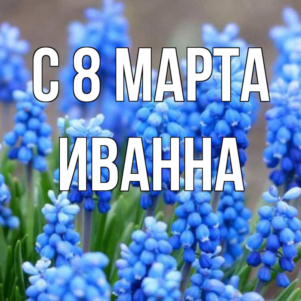 Открытка на каждый день с именем, Иванна С 8 МАРТА Поздравительная открытка для женщин с цветами на праздничную дату Прикольная открытка с пожеланием онлайн скачать бесплатно 