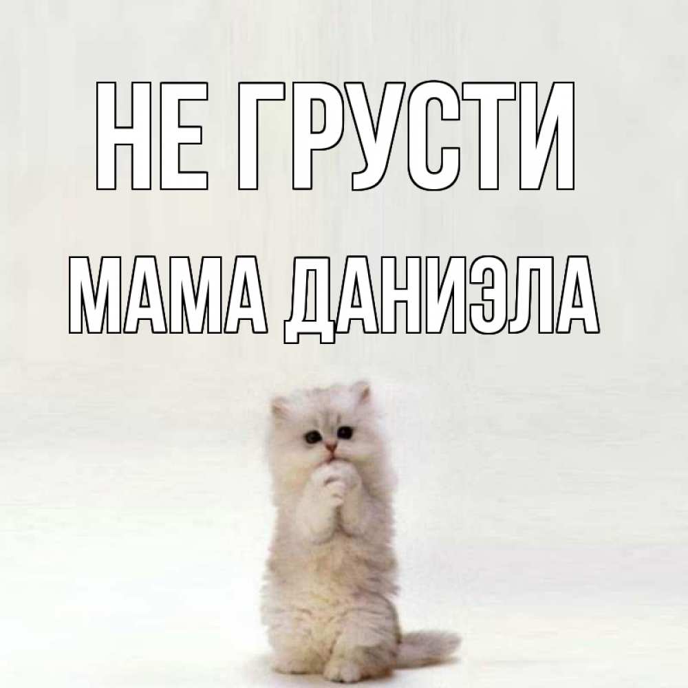 Открытка на каждый день с именем, Мама-Даниэла Не грусти грустный кот Прикольная открытка с пожеланием онлайн скачать бесплатно 