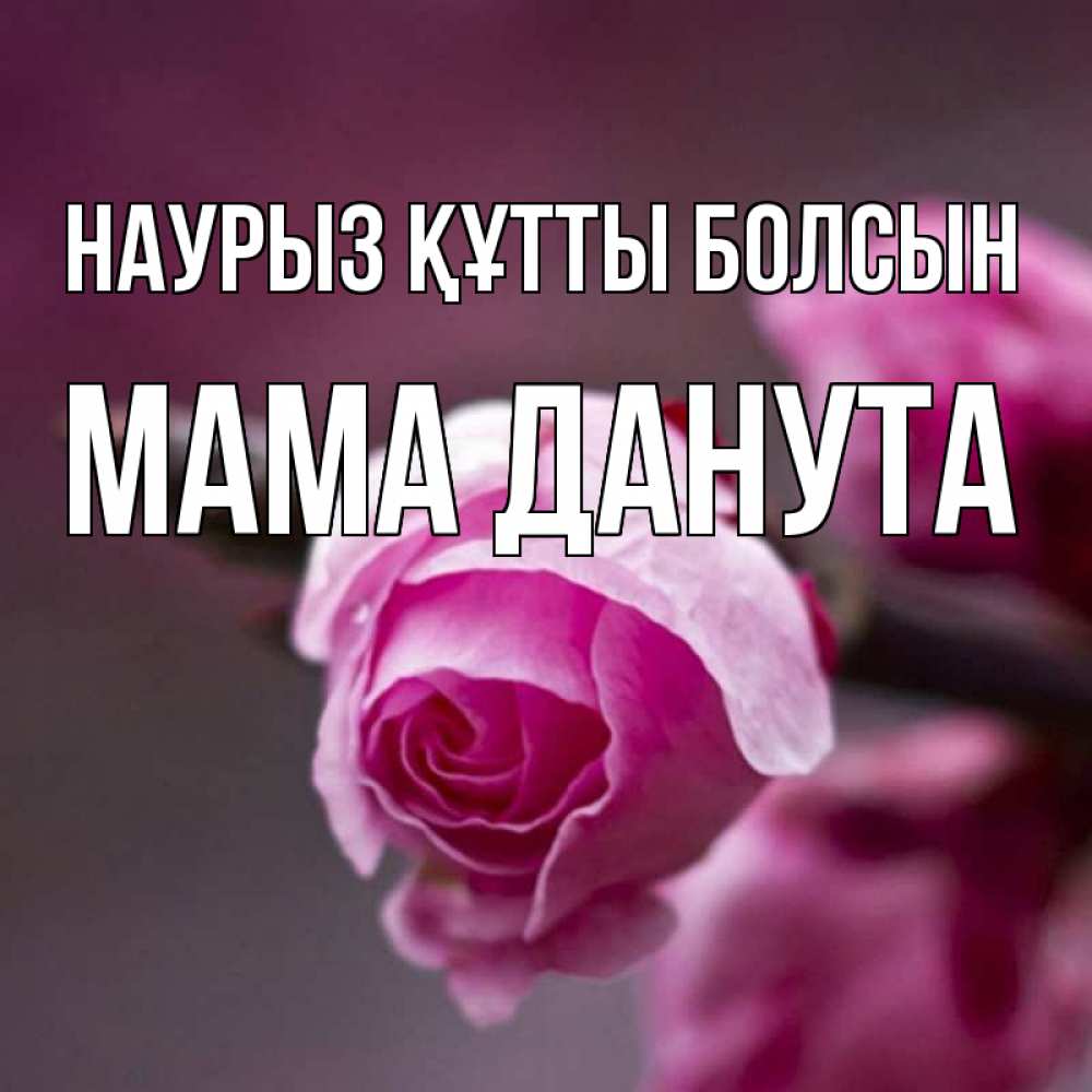 Открытка на каждый день с именем, Мама-Данута Наурыз құтты болсын весна Прикольная открытка с пожеланием онлайн скачать бесплатно 