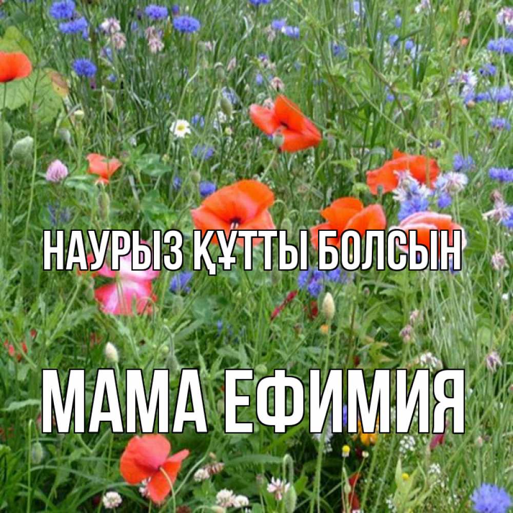 Открытка на каждый день с именем, Мама-Ефимия Наурыз құтты болсын наурыз  4 Прикольная открытка с пожеланием онлайн скачать бесплатно 