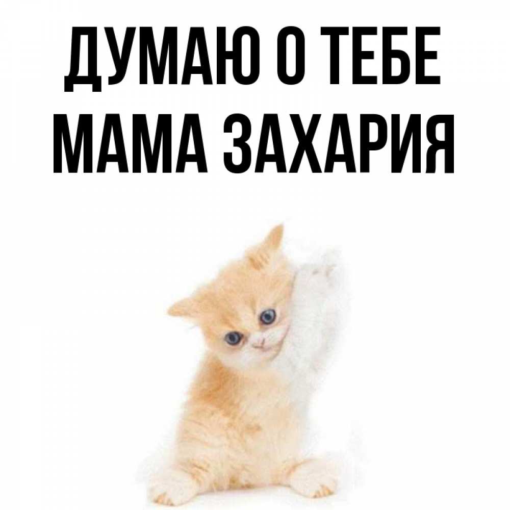 Открытка на каждый день с именем, Мама-Захария Думаю о тебе зверушки и милота Прикольная открытка с пожеланием онлайн скачать бесплатно 