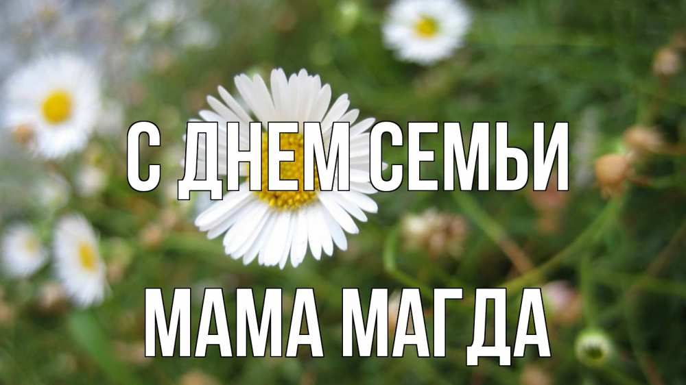 Открытка на каждый день с именем, Мама-Магда С днем семьи с днем семьи Прикольная открытка с пожеланием онлайн скачать бесплатно 