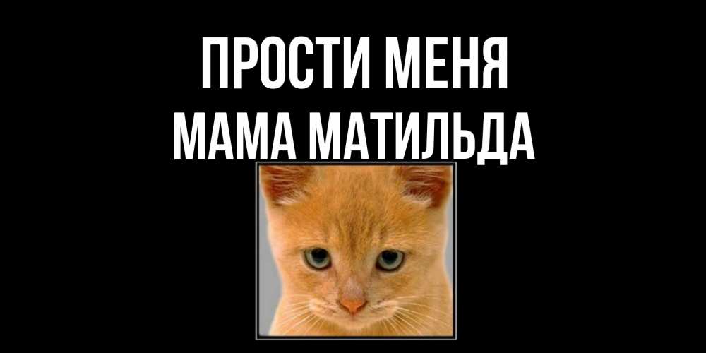 Открытка на каждый день с именем, Мама-Матильда Прости меня рыжий грустный кот просит прощения Прикольная открытка с пожеланием онлайн скачать бесплатно 