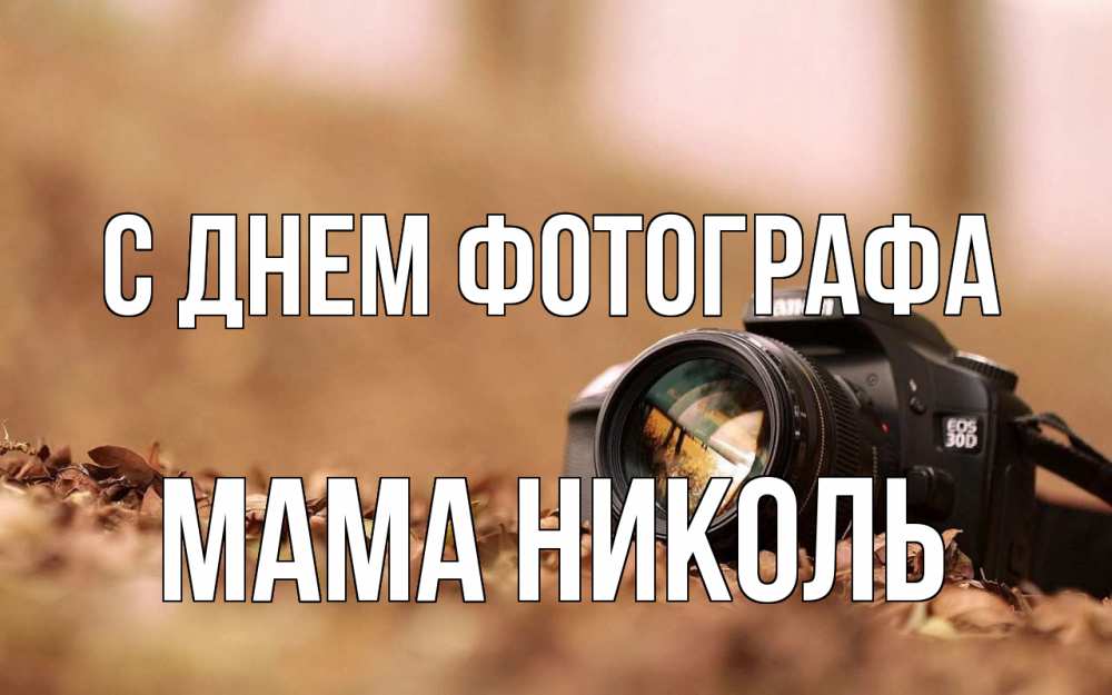 Открытка на каждый день с именем, Мама-Николь С днем фотографа с днем фотографа Прикольная открытка с пожеланием онлайн скачать бесплатно 