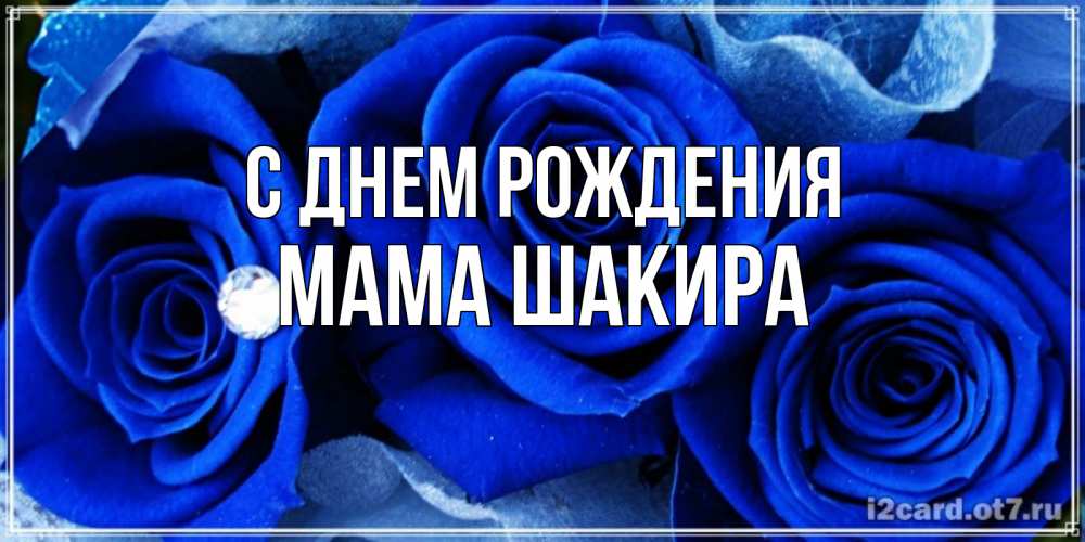 Открытка на каждый день с именем, Мама-Шакира С днем рождения синие розы в росе Прикольная открытка с пожеланием онлайн скачать бесплатно 