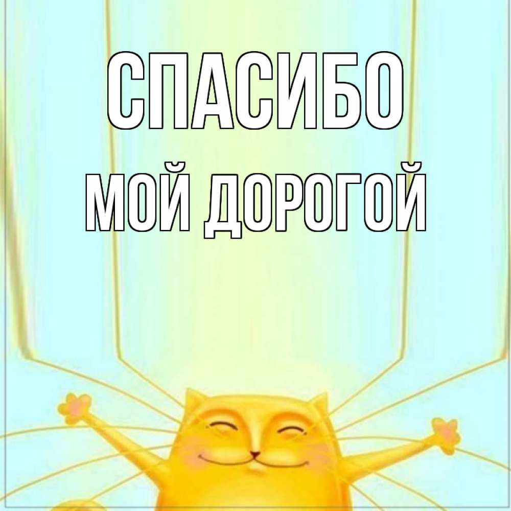 Открытка на каждый день с именем, Мой-дорогой Спасибо кот с усами благодарит Прикольная открытка с пожеланием онлайн скачать бесплатно 