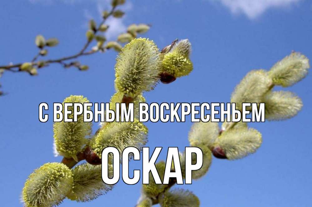 Открытка на каждый день с именем, Оскар С вербным воскресеньем верба Прикольная открытка с пожеланием онлайн скачать бесплатно 