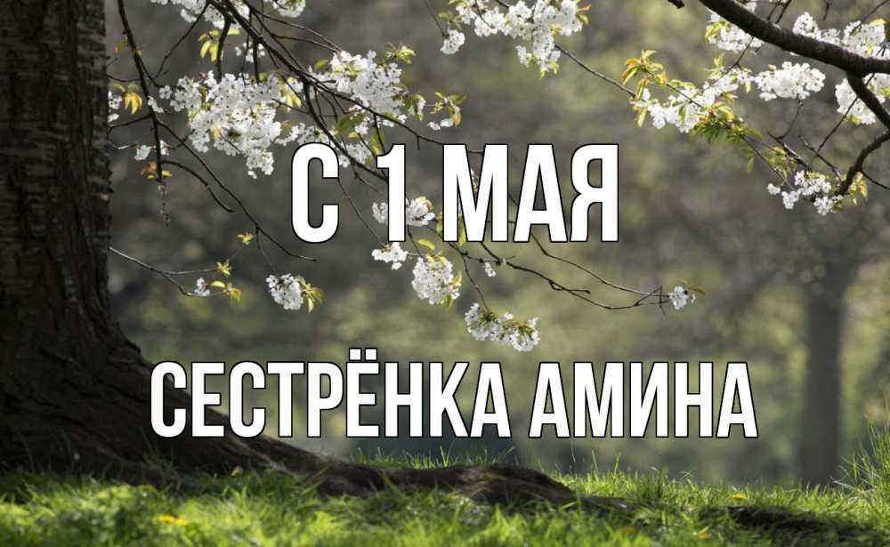 Открытка на каждый день с именем, Сестрёнка-Амина С 1 мая С 1 мая Прикольная открытка с пожеланием онлайн скачать бесплатно 