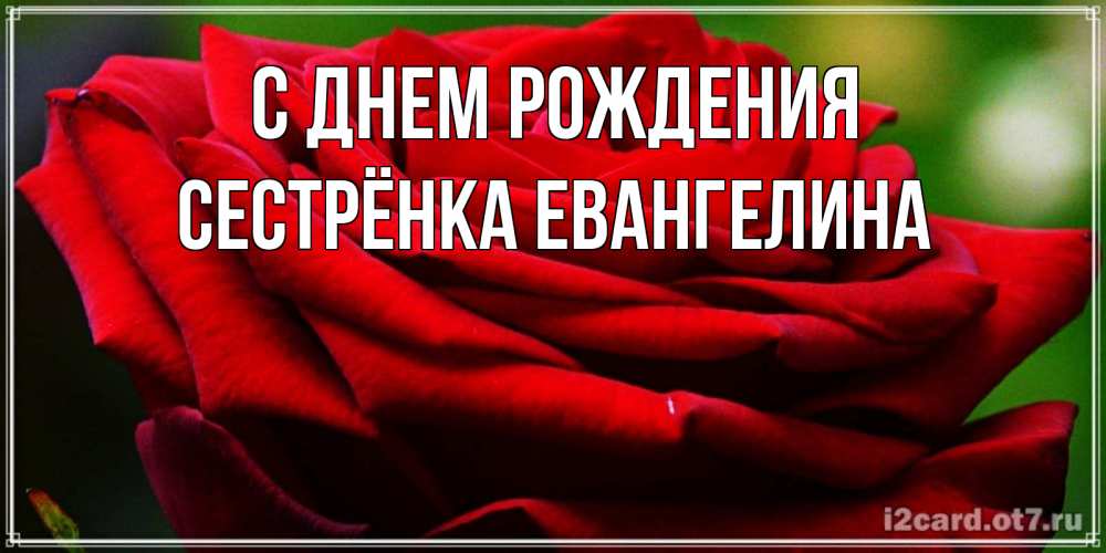 Открытка на каждый день с именем, Сестрёнка-Евангелина С днем рождения розочка очень красивая Прикольная открытка с пожеланием онлайн скачать бесплатно 
