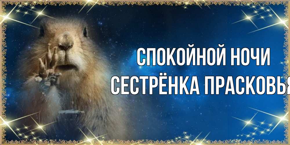 Открытка на каждый день с именем, Сестрёнка-Прасковья Спокойной ночи спокойной ночи сладких снов Прикольная открытка с пожеланием онлайн скачать бесплатно 