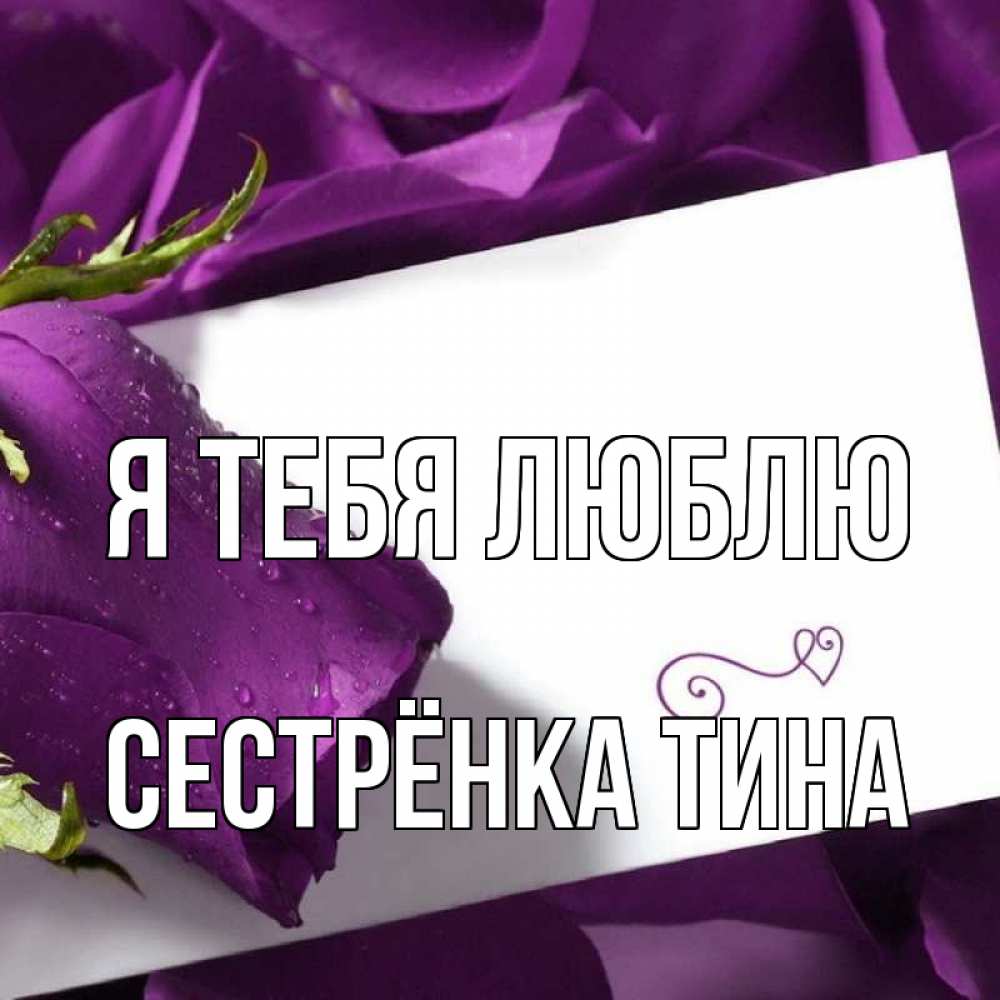 Открытка на каждый день с именем, Сестрёнка-Тина Я тебя люблю роза Прикольная открытка с пожеланием онлайн скачать бесплатно 