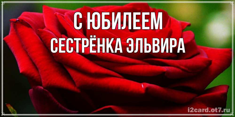 Открытка на каждый день с именем, Сестрёнка-Эльвира С юбилеем розочка очень красивая Прикольная открытка с пожеланием онлайн скачать бесплатно 