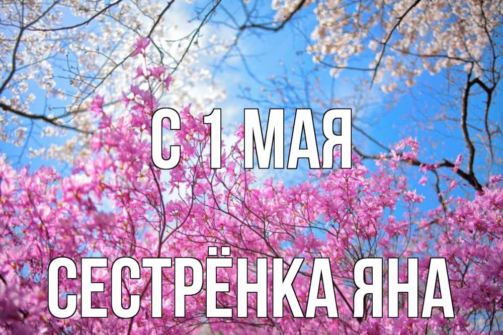 Открытка на каждый день с именем, Сестрёнка-Яна С 1 мая С 1 мая Прикольная открытка с пожеланием онлайн скачать бесплатно 