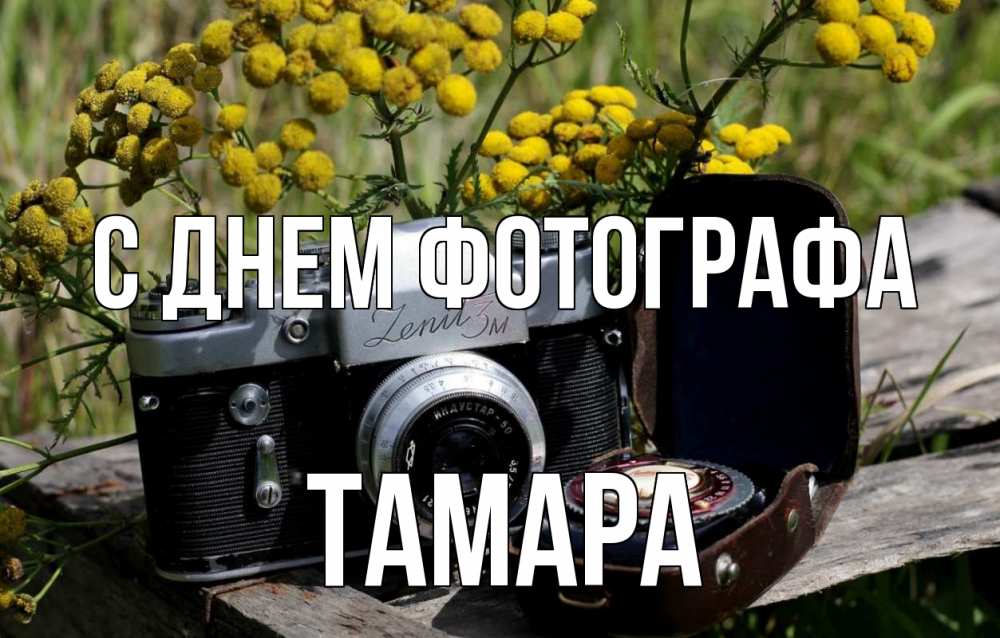 Открытка на каждый день с именем, Тамара С днем фотографа с днем фотографа Прикольная открытка с пожеланием онлайн скачать бесплатно 