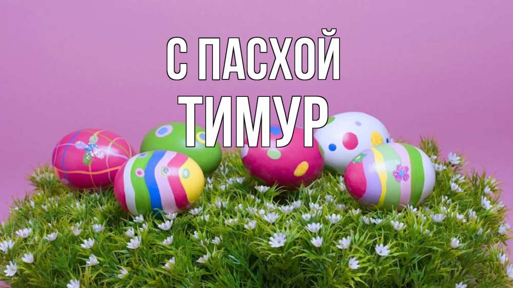 Открытка на каждый день с именем, Тимур С пасхой пасха Прикольная открытка с пожеланием онлайн скачать бесплатно 