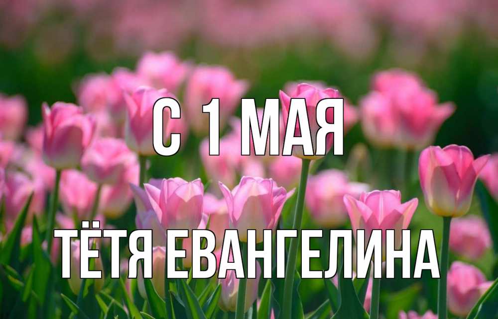 Открытка на каждый день с именем, Тётя-Евангелина С 1 мая С 1 мая Прикольная открытка с пожеланием онлайн скачать бесплатно 