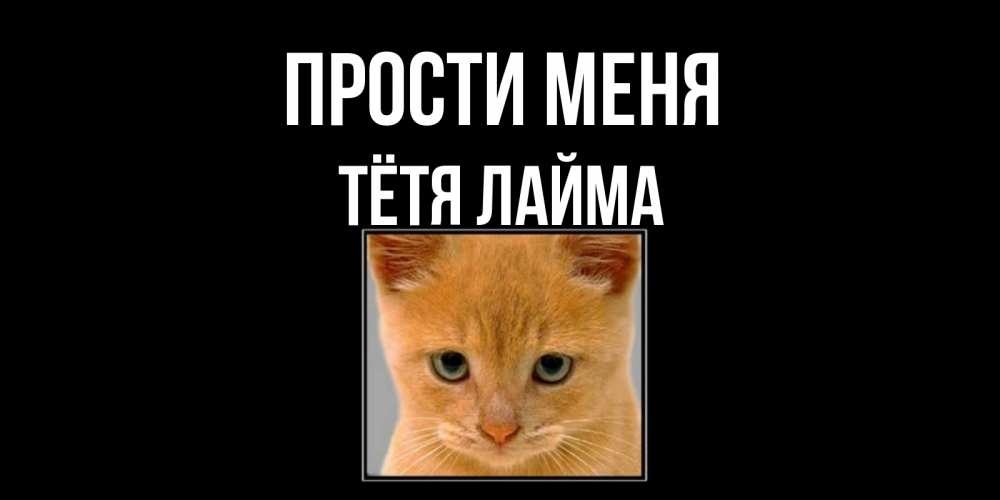 Открытка на каждый день с именем, Тётя-Лайма Прости меня рыжий грустный кот просит прощения Прикольная открытка с пожеланием онлайн скачать бесплатно 