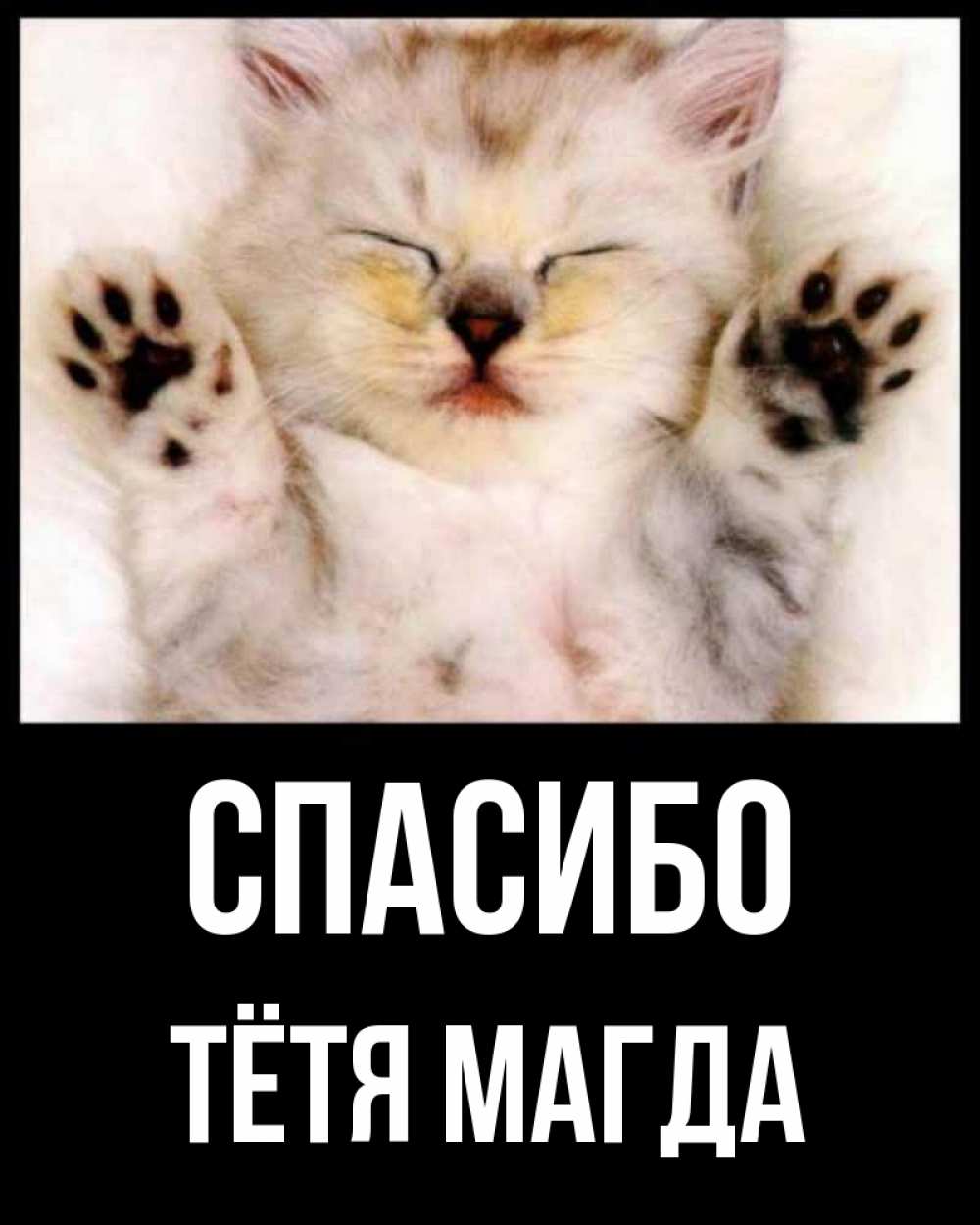 Открытка на каждый день с именем, Тётя-Магда Спасибо маленький котенок Прикольная открытка с пожеланием онлайн скачать бесплатно 