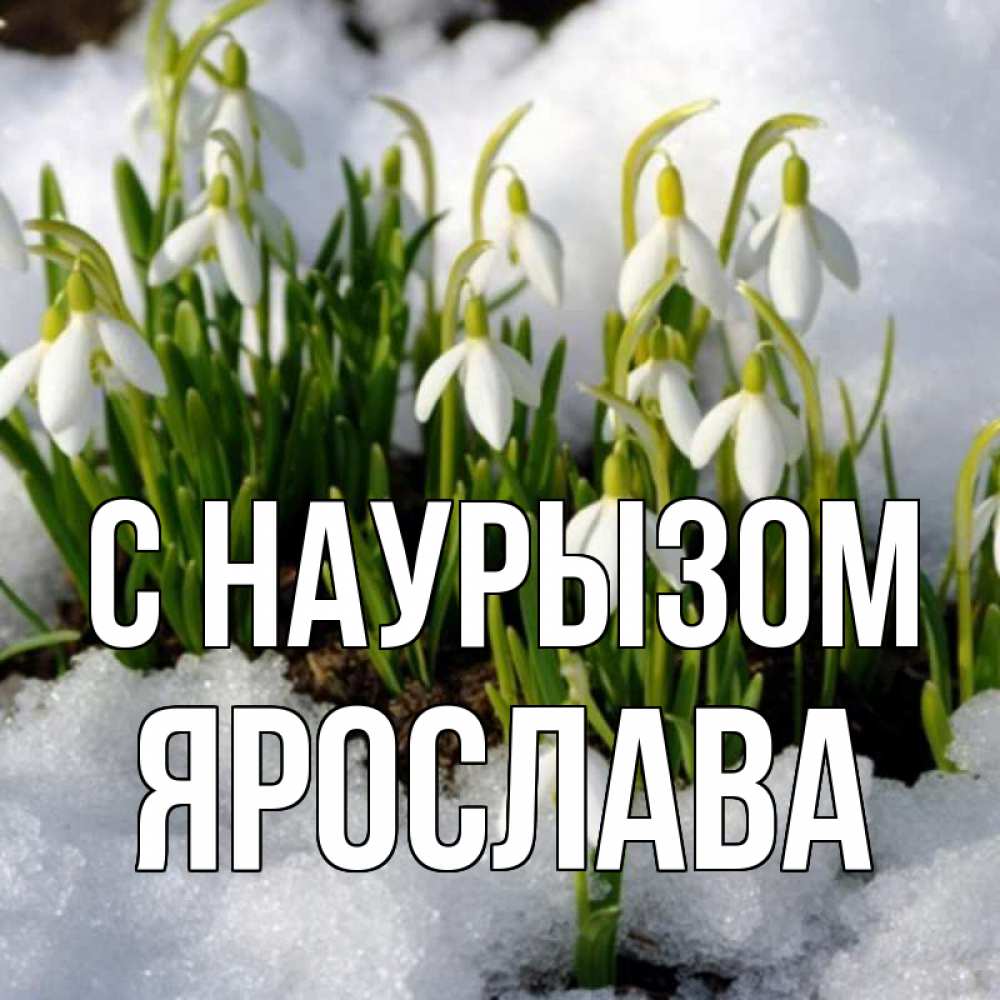 Открытка на каждый день с именем, Ярослава С наурызом цветы весенние Прикольная открытка с пожеланием онлайн скачать бесплатно 